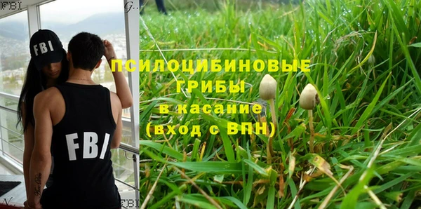 спайс Богородицк