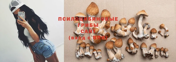 таблы Богородск