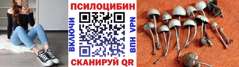 Галлюциногенные грибы MAGIC MUSHROOMS  Купить  Кедровый 