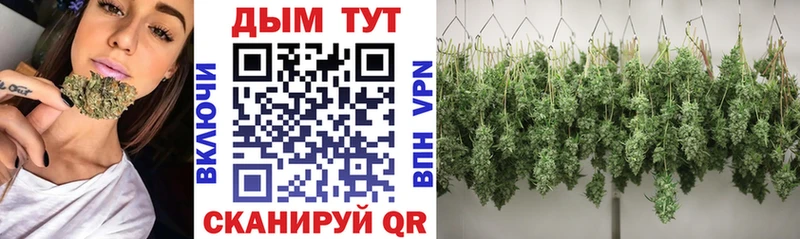 Купить закладки  Кедровый  Шишки марихуана ГИДРОПОН 
